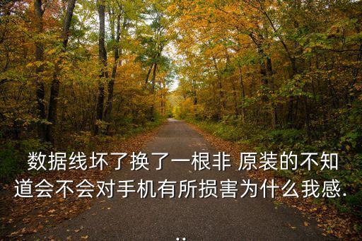 數(shù)據(jù)線壞了換了一根非 原裝的不知道會(huì)不會(huì)對(duì)手機(jī)有所損害為什么我感...
