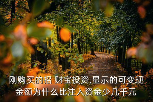 剛購買的招 財寶投資,顯示的可變現(xiàn)金額為什么比注入資金少幾千元