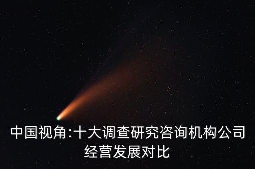 中國視角:十大調(diào)查研究咨詢機(jī)構(gòu)公司經(jīng)營發(fā)展對(duì)比