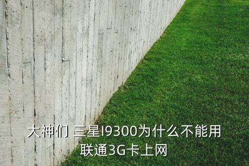 大神們 三星I9300為什么不能用聯(lián)通3G卡上網(wǎng)