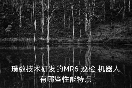 璞數(shù)技術(shù)研發(fā)的MR6 巡檢 機器人有哪些性能特點
