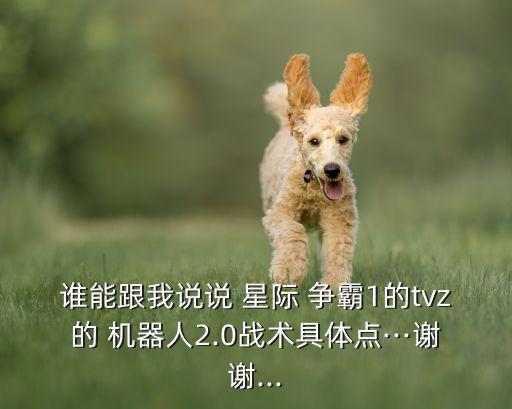 誰能跟我說說 星際 爭霸1的tvz的 機器人2.0戰(zhàn)術具體點···謝謝...