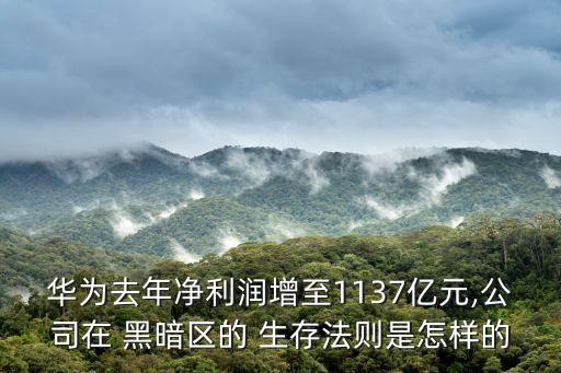 黑暗生存數(shù)據(jù)放在哪里,黑暗幻想生存教徒哪里有