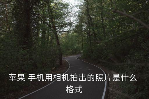 蘋果 手機(jī)用相機(jī)拍出的照片是什么 格式