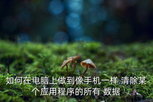如何在電腦上做到像手機(jī)一樣 清除某個(gè)應(yīng)用程序的所有 數(shù)據(jù)