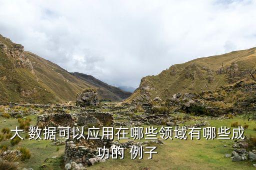 大 數(shù)據(jù)可以應(yīng)用在哪些領(lǐng)域有哪些成功的 例子