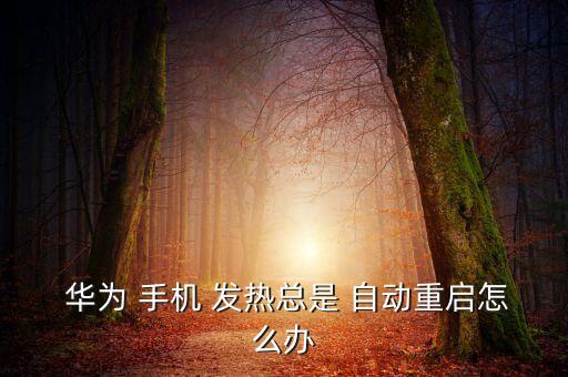  華為 手機 發(fā)熱總是 自動重啟怎么辦