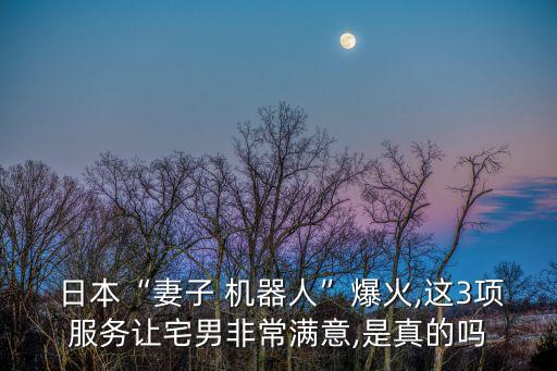 日本智障機器人,智障機器人搞笑視頻