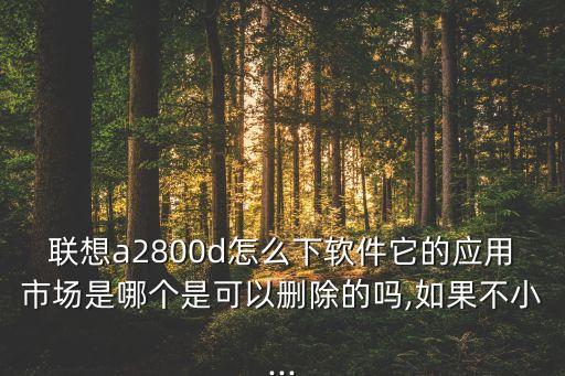 聯(lián)想a2800d怎么下軟件它的應(yīng)用市場(chǎng)是哪個(gè)是可以刪除的嗎,如果不小...