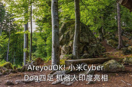 AreyouOK! 小米CyberDog四足 機器人印度亮相