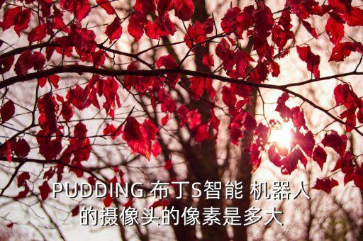 PUDDING 布丁S智能 機器人的攝像頭的像素是多大