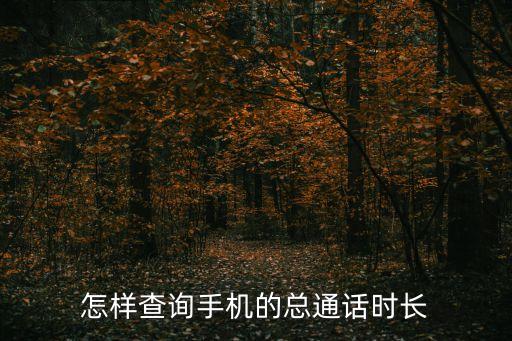 電話數(shù)據(jù)在那,數(shù)據(jù)電話是什么