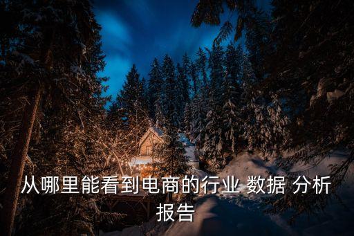 從哪里能看到電商的行業(yè) 數(shù)據(jù) 分析報告