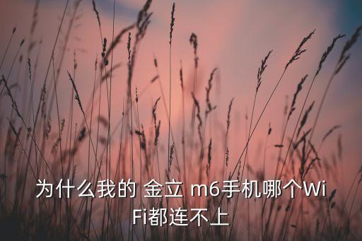金立m6數(shù)據(jù)聯(lián)網(wǎng)上網(wǎng)慢