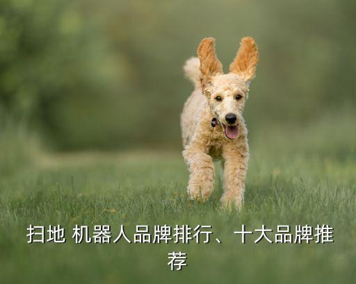 家用口碑最好的掃地機器人,口碑最好的掃地機器人2022