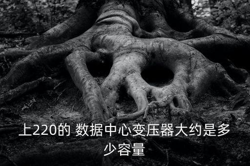 上220的 數(shù)據(jù)中心變壓器大約是多少容量