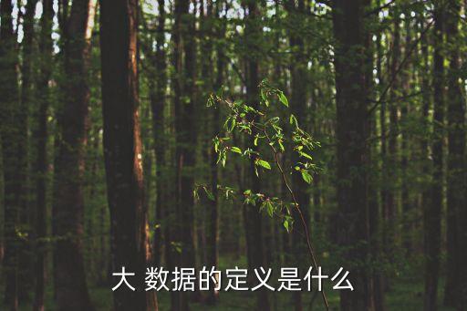 大 數(shù)據(jù)的定義是什么