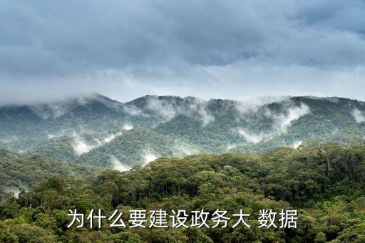 為什么要建設(shè)政務(wù)大 數(shù)據(jù)