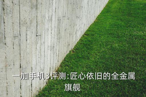 一加三type-c數(shù)據(jù)線,TYPE數(shù)據(jù)線