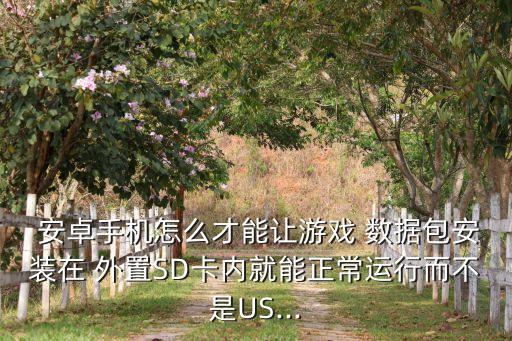  安卓手機(jī)怎么才能讓游戲 數(shù)據(jù)包安裝在 外置SD卡內(nèi)就能正常運(yùn)行而不是US...