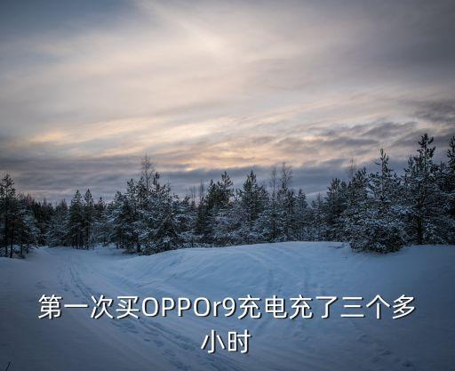 oppor9健康數(shù)據(jù)