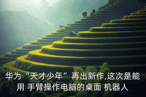 制作迷你機(jī)器人手臂,迷你機(jī)器人積木如何制作?變形