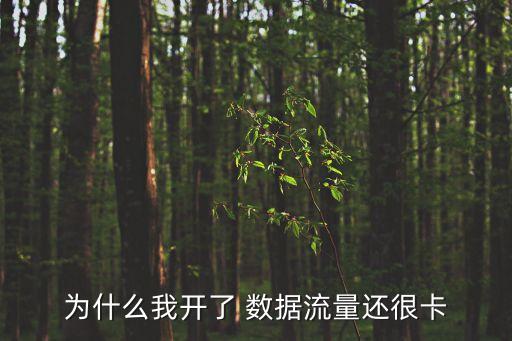 為什么我開了 數(shù)據(jù)流量還很卡