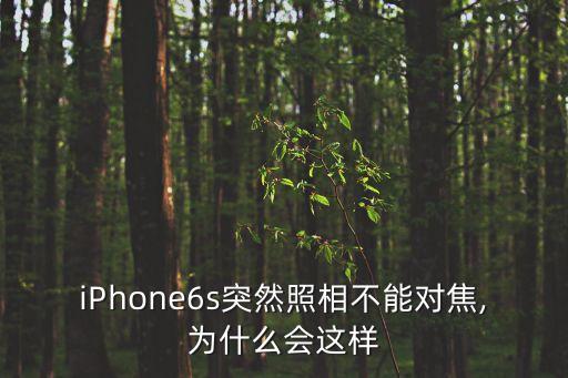 iPhone6s突然照相不能對(duì)焦,為什么會(huì)這樣