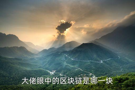 大佬眼中的區(qū)塊鏈?zhǔn)悄囊粔K
