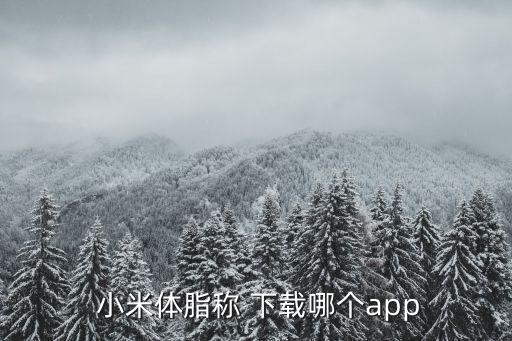  小米體脂稱 下載哪個app