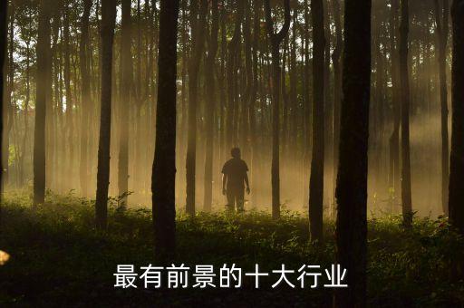 最有前景的十大行業(yè)