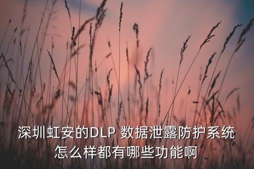 數(shù)據(jù)防泄漏產(chǎn)品,dlp數(shù)據(jù)防泄漏