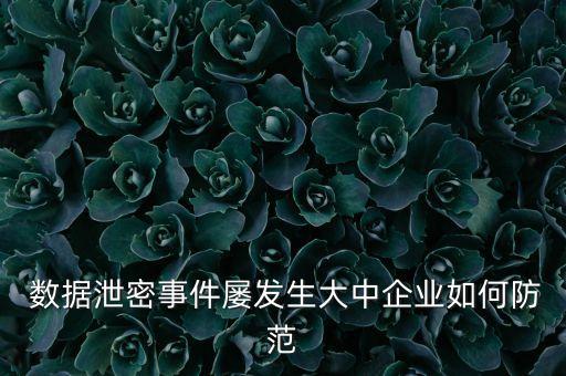  數(shù)據(jù)泄密事件屢發(fā)生大中企業(yè)如何防范