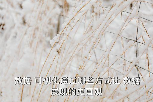  數(shù)據(jù) 可視化通過(guò)哪些方式讓 數(shù)據(jù)展現(xiàn)的更直觀