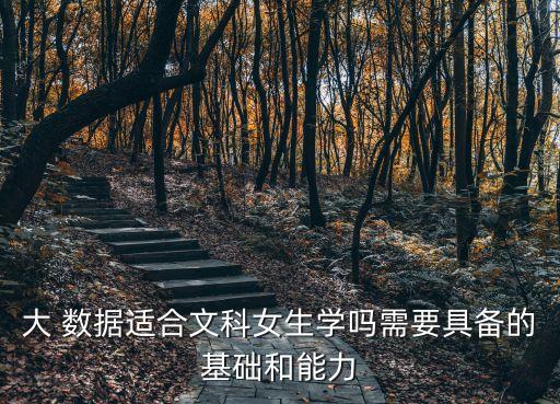 大 數(shù)據(jù)適合文科女生學嗎需要具備的基礎(chǔ)和能力