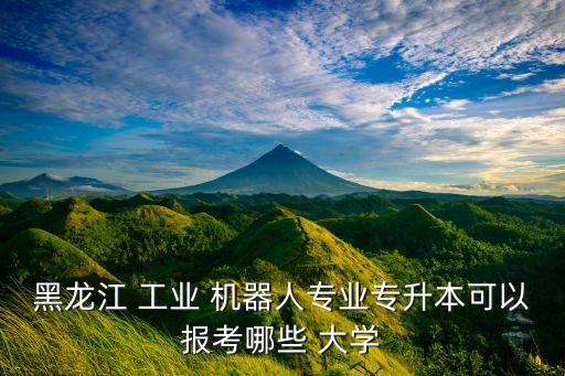 工業(yè)機器人大學