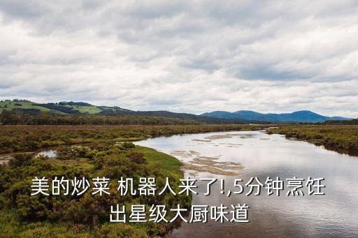 美食機(jī)器人有什么功能,機(jī)器人佳佳有什么功能