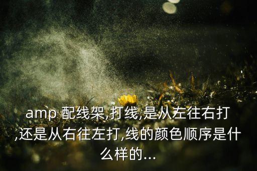 amp 配線架,打線,是從左往右打,還是從右往左打,線的顏色順序是什么樣的...