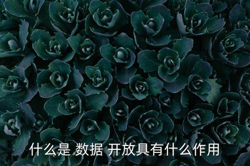 數據開放相關政策,2023年大數據相關政策