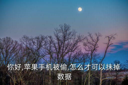 你好,蘋果手機(jī)被偷,怎么才可以抹掉 數(shù)據(jù)
