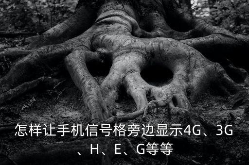 怎樣讓手機信號格旁邊顯示4G、3G、H、E、G等等