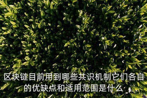 區(qū)塊鏈目前用到哪些共識(shí)機(jī)制它們各自的優(yōu)缺點(diǎn)和適用范圍是什么