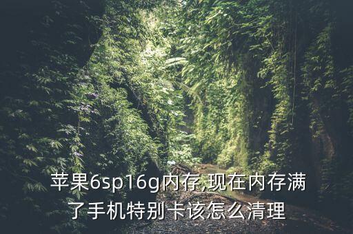  蘋果6sp16g內(nèi)存,現(xiàn)在內(nèi)存滿了手機(jī)特別卡該怎么清理