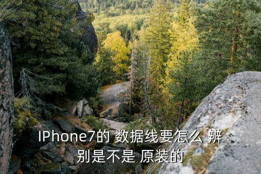 IPhone7的 數(shù)據(jù)線要怎么 辨別是不是 原裝的