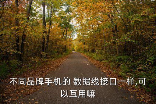 不同品牌手機(jī)的 數(shù)據(jù)線接口一樣,可以互用嘛