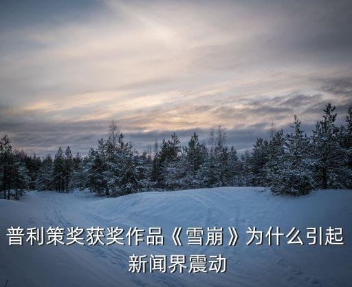 普利策獎獲獎作品《雪崩》為什么引起 新聞界震動