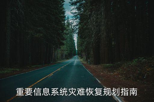 重要信息系統(tǒng)災(zāi)難恢復(fù)規(guī)劃指南