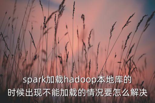 spark加載hadoop本地庫的時候出現(xiàn)不能加載的情況要怎么解決