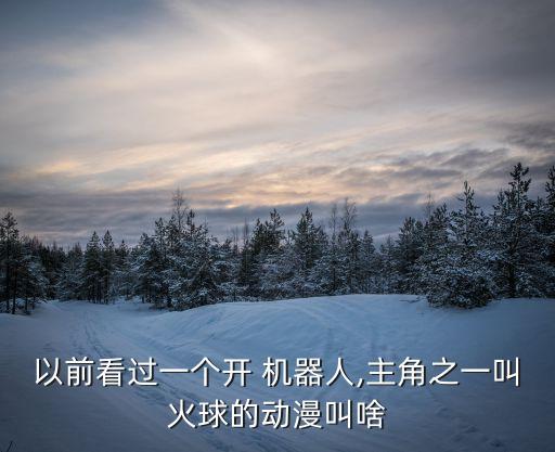 以前看過一個開 機器人,主角之一叫火球的動漫叫啥