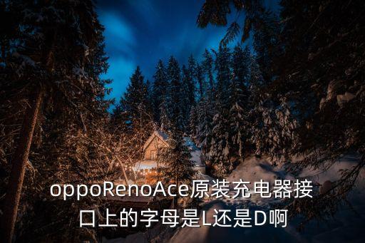 oppoRenoAce原裝充電器接口上的字母是L還是D啊